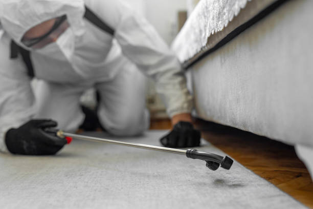 Professional Ant Control technician working in Lamont, CA